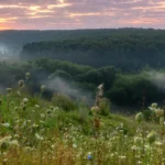 Plaża i wybrzeże — wakacje w Park Narodowy Gór Stołowych Sudety Polska