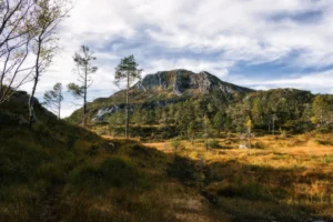 Plaża i wybrzeże — wakacje w Park Narodowy Kalkalpen Górna Austria Austria
