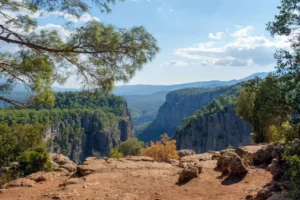 Plaża i wybrzeże — wakacje w Park Narodowy Köprülü Kanyon Belek Turcja