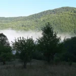 Plaża i wybrzeże — wakacje w Park Narodowy Mljet Dalmacja Południowa Chorwacja