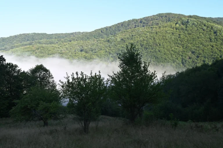 Plaża i wybrzeże — wakacje w Park Narodowy Mljet Dalmacja Południowa Chorwacja