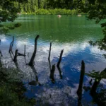 Plaża i wybrzeże — wakacje w Park Narodowy Słowiańskie Jeziora Chorwacja Środkowa Chorwacja