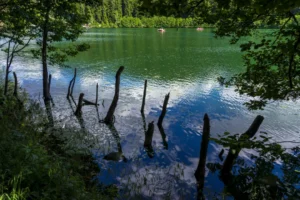 Plaża i wybrzeże — wakacje w Park Narodowy Słowiańskie Jeziora Chorwacja Środkowa Chorwacja