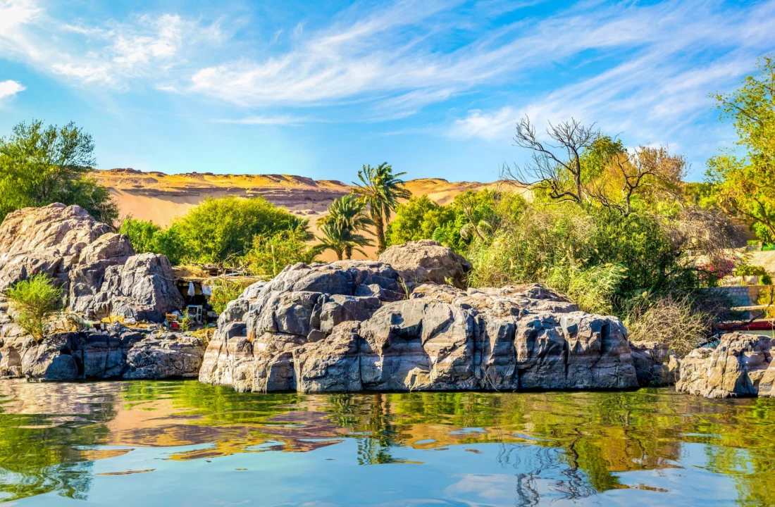Park Narodowy Wadi El Gemal — przewodnik dla turystów