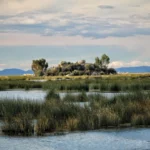 Plaża i wybrzeże — wakacje w Park Naturalny Doñana Costa de la Luz Hiszpania
