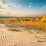 Plaża i wybrzeże — wakacje w Park Przyrody Złote Piaski Złote Piaski Bułgaria