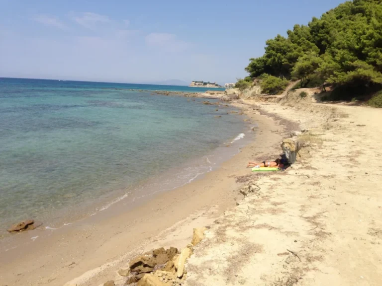 Plaża i wybrzeże — wakacje w Plaża Agia Anna Evia Grecja