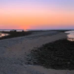 Plaża i wybrzeże — wakacje w Plaża Coral Bay Pafos Cypr