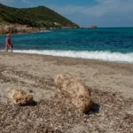 Plaża i wybrzeże — wakacje w Plaża Jale Riwiera Albańska Albania