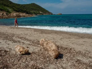 Plaża i wybrzeże — wakacje w Plaża Jale Riwiera Albańska Albania