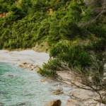 Plaża i wybrzeże — wakacje w Plaża Jaz Czarnogóra