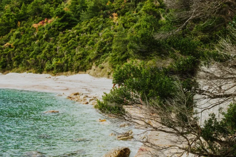 Plaża i wybrzeże — wakacje w Plaża Jaz Czarnogóra