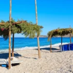 Plaża i wybrzeże — wakacje w Plaża Kymi Evia Grecja