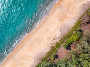Plaża i wybrzeże — wakacje w Plaża Patara Dalaman - Fethiye Turcja