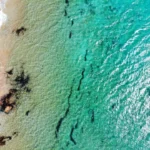 Plaża i wybrzeże — wakacje w Plaża Sotavento Fuerteventura Hiszpania
