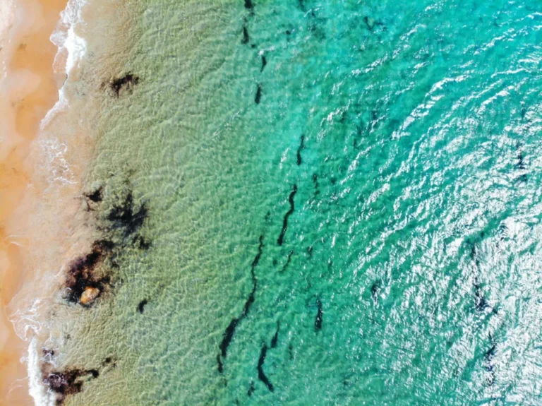 Plaża i wybrzeże — wakacje w Plaża Sotavento Fuerteventura Hiszpania