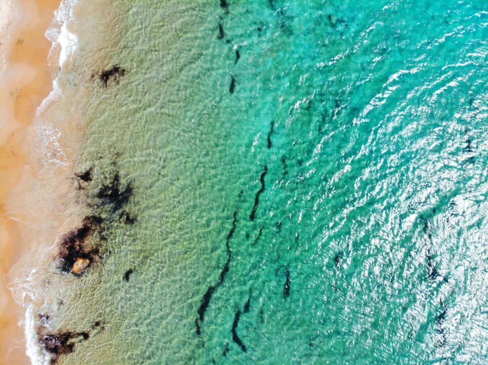 Plaża Sotavento — przewodnik dla turystów