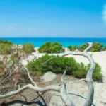 Plaża i wybrzeże — wakacje w Plaża Valtos Epirus Grecja