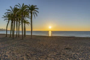 Plaża i wybrzeże — wakacje w Plaża w Alcoceber Costa Azahar Hiszpania