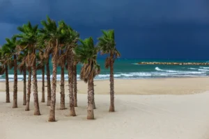 Plaża i wybrzeże — wakacje w Plaże Dahabu Dahab Egipt