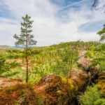 Plaża i wybrzeże — wakacje w Podlasie Polska
