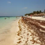 Plaża i wybrzeże — wakacje w Puerto Morelos Riviera Maya Hiszpania