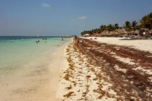 Plaża i wybrzeże — wakacje w Puerto Morelos Riviera Maya Hiszpania