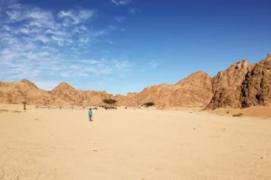 Plaża i wybrzeże — wakacje w Pustynia Arabska Marsa Alam Egipt
