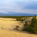 Plaża i wybrzeże — wakacje w Pustynia Błędowska Jura Krakowska Polska