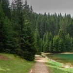 Plaża i wybrzeże — wakacje w Puszcza Knyszyńska Podlasie Polska