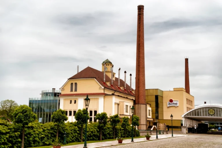 Plaża i wybrzeże — wakacje w Ratusz w Poznaniu Poznań Polska