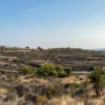 Plaża i wybrzeże — wakacje w Rezerwat Przyrody Akamas Pafos Cypr