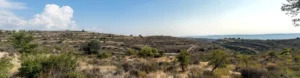 Plaża i wybrzeże — wakacje w Rezerwat Przyrody Akamas Pafos Cypr