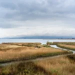 Plaża i wybrzeże — wakacje w Rezerwat Przyrody Delta Ebro Costa Azahar Hiszpania