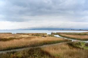 Plaża i wybrzeże — wakacje w Rezerwat Przyrody Delta Ebro Costa Azahar Hiszpania