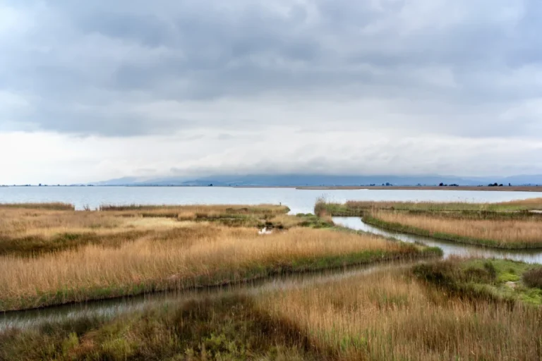 Plaża i wybrzeże — wakacje w Rezerwat Przyrody Delta Ebro Costa Azahar Hiszpania