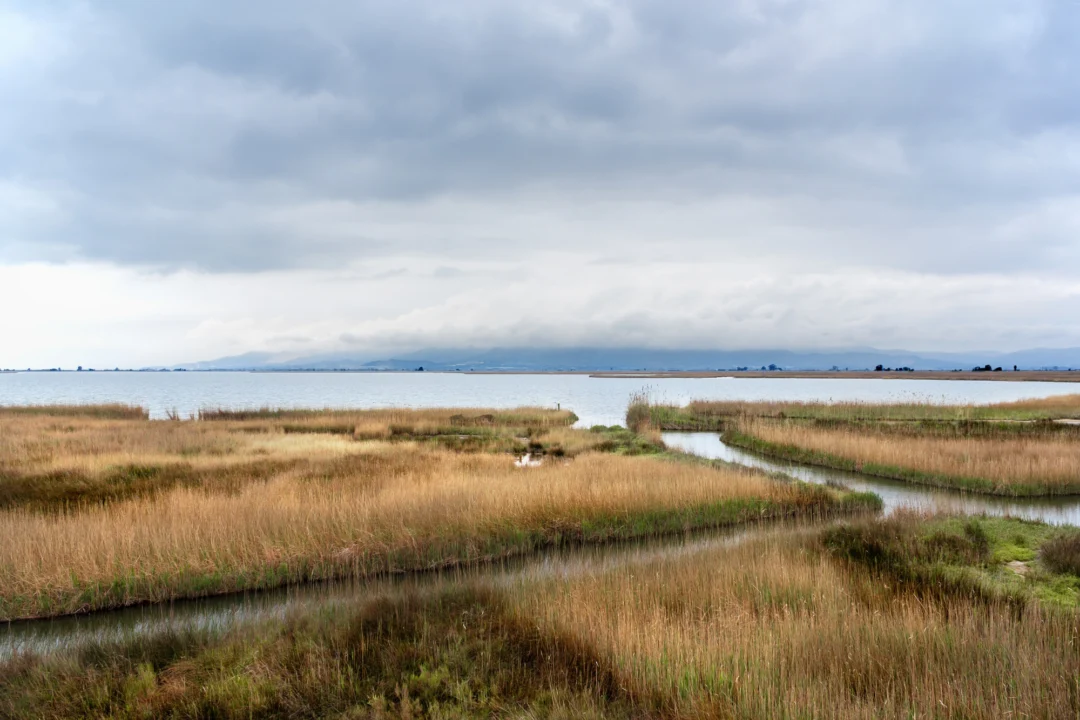 Rezerwat Przyrody Delta Ebro — przewodnik dla turystów