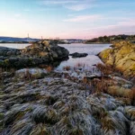 Plaża i wybrzeże — wakacje w Rezerwat Sine Wiry Bieszczady Polska