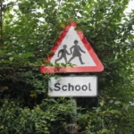 Plaża i wybrzeże — wakacje w Ścieżka edukacyjna w Puszczy Noteckiej Pojezierze Wielkopolskie Włochy