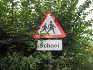 Plaża i wybrzeże — wakacje w Ścieżka edukacyjna w Puszczy Noteckiej Pojezierze Wielkopolskie Włochy