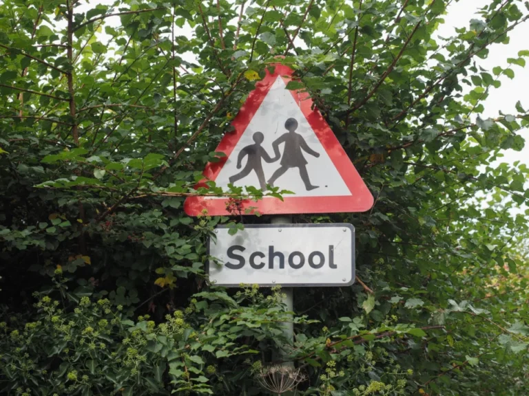 Plaża i wybrzeże — wakacje w Ścieżka edukacyjna w Puszczy Noteckiej Pojezierze Wielkopolskie Włochy