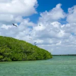 Plaża i wybrzeże — wakacje w Sian Ka'an Biosphere Reserve Riviera Maya Hiszpania