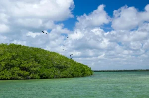 Plaża i wybrzeże — wakacje w Sian Ka'an Biosphere Reserve Riviera Maya Hiszpania