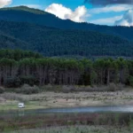 Plaża i wybrzeże — wakacje w Sila National Park Kalabria Włochy