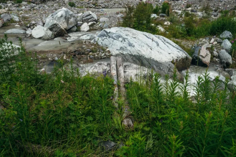 Plaża i wybrzeże — wakacje w Skała Dmuchawiec Jura Krakowska Polska