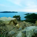 Plaża i wybrzeże — wakacje w Skała Kassandra Chalkidiki Grecja