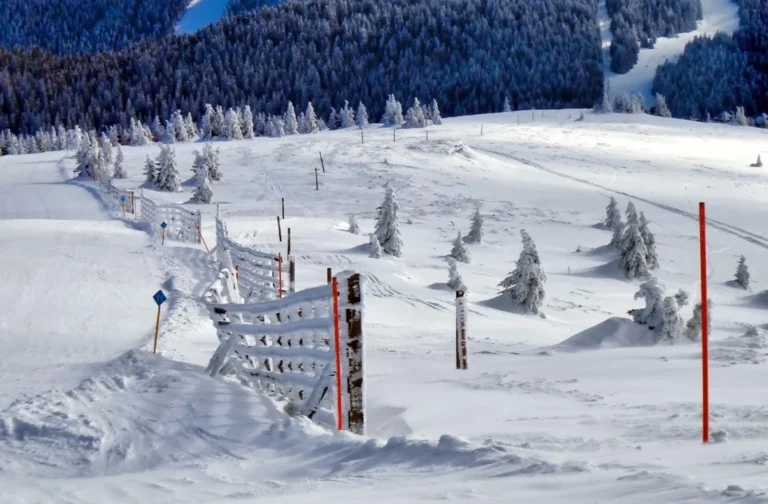 Plaża i wybrzeże — wakacje w Ski Arena Szrenica Karkonosze Polska