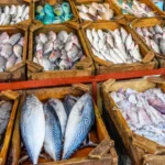 Plaża i wybrzeże — wakacje w Targ rybny w Hurghadzie Hurghada Egipt