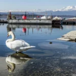 Plaża i wybrzeże — wakacje w Tjörnin Reykjavik Islandia