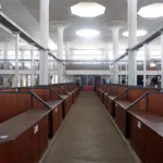 Plaża i wybrzeże — wakacje w Wiedeńska Aula Uniwersytecka Wiedeń Austria